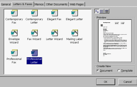 Previewing the Professional Letter Template