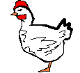 The Many Shapes of Chicken Nuggets - The Route that Launched a Website!