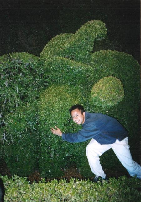 Just moments later, the elephant bush suffocated me... and I liked it.