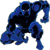 BlackPantherJA20.gif (25516 bytes)