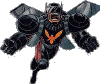 hornet.gif (31947 bytes)