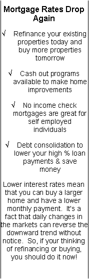 Text Box: Mortgage Rates Drop AgainRefinance your existing properties today and buy more properties tomorrowCash out programs available to make home improvementsNo income check mortgages are great for self employed individualsDebt consolidation to lower your high % loan  payments & save moneyLower interest rates mean that you can buy a larger home and have a lower monthly payment.  It�s a fact that daily changes in the markets can reverse the downward trend without notice.  So, if your thinking of refinancing or buying, you should do it now!  