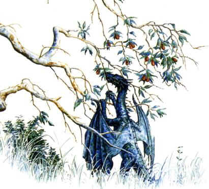 Blue dragon eating