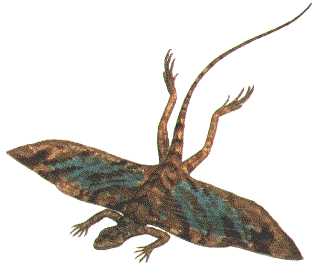 Serpent of Wales