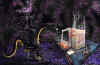 psychodr.jpg (59067 bytes)