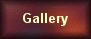 Enter the Ondo Gallery and browse my work