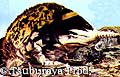 Gubira