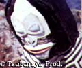 Dada (B)