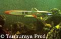 Science Patrol sub