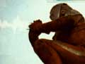 Knuckle Beam/Bolt Beam