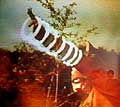 Spiral Beam