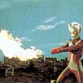 Taroh Fire