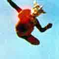 Leo Kick
