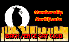The Back Fence Cat Club