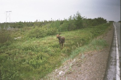 images/HenryCusterPostStarTrip005.jpg