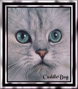 Cuddle Bug