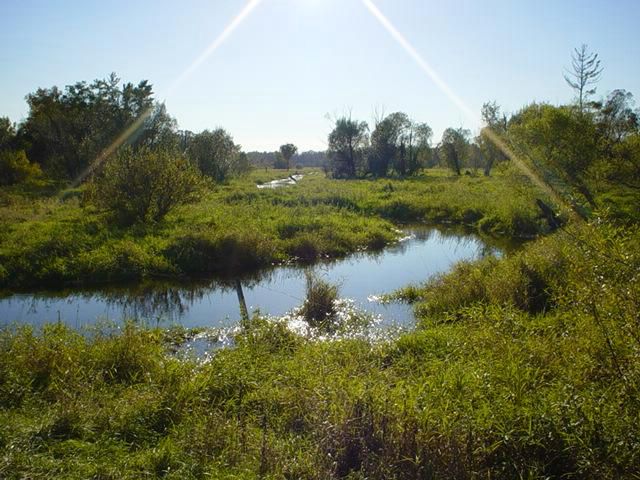 This is Cedar creek. I grew up living in the cedar creek natrure reserve so I have had a lot of awsome photo oppertunities.