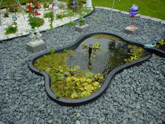 This is my grandmas pond at her house and my uncles pride and joy.