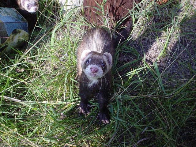 Aww! Isn't he cute!