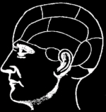 Back to Brain
