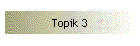 Topik 3