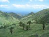 La Gomera