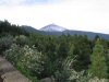 Teide 2