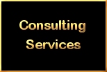Consulting Services