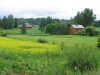 countryside