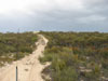 Brushcutter's Track