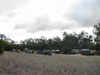 Scorpion Springs