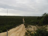 South Fire Break