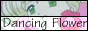 Dancing Flower; Flower Card Site