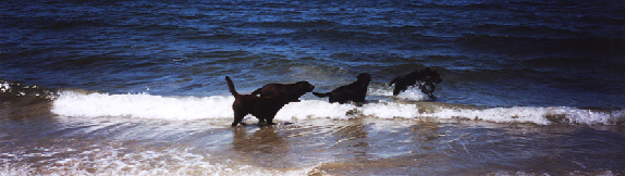 salt water!
