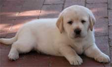 too cute