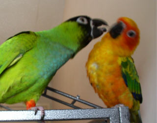 Ah, come on, give us a kiss.