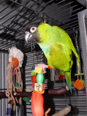 Like my home?&nbsp; 