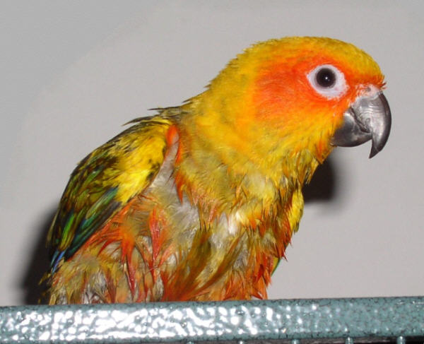 After a bath.