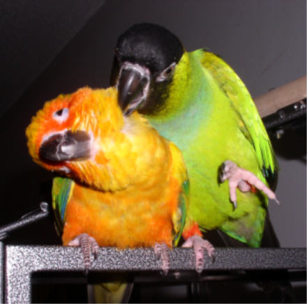 Jimi is in heaven, nothing like a little help from a friend.