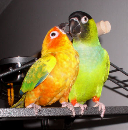 Listen, do you want to know a secret?