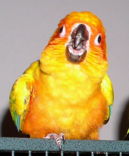 Hey! Stick around.&nbsp; Don't go off and leave me here!