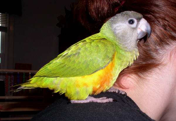 click here to visit Zomi~