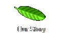 Our Story