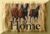 other horses