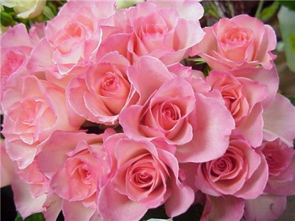 Breathe in the fragrance!