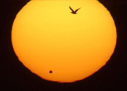 Venus Transit