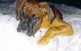 Click here to see our baby pictures.