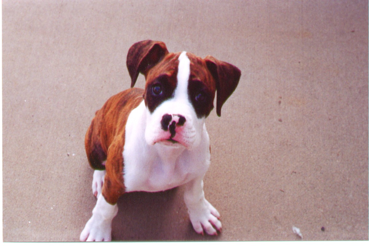 Click here to see Loki!