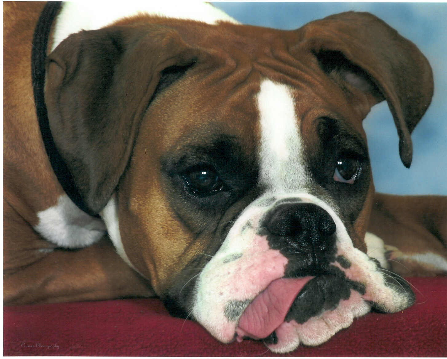 Click here to see Molly!