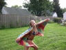 fly like an eagle